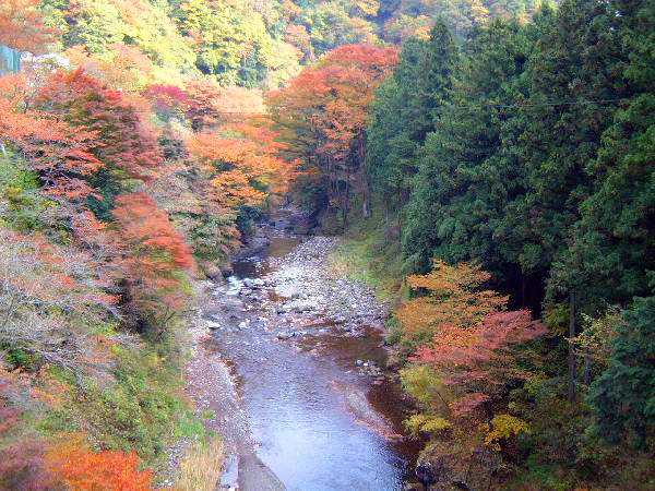 北秋川（中学校下）の写真