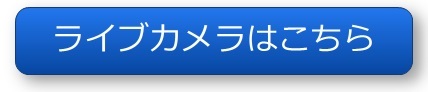 ライブカメラへのリンクボタン