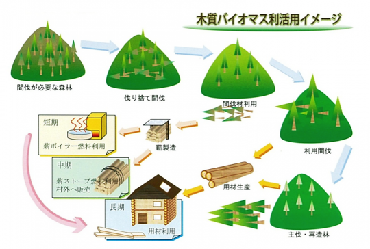 木質バイオマス利活用イメージ