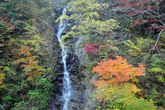 三頭大滝の写真1